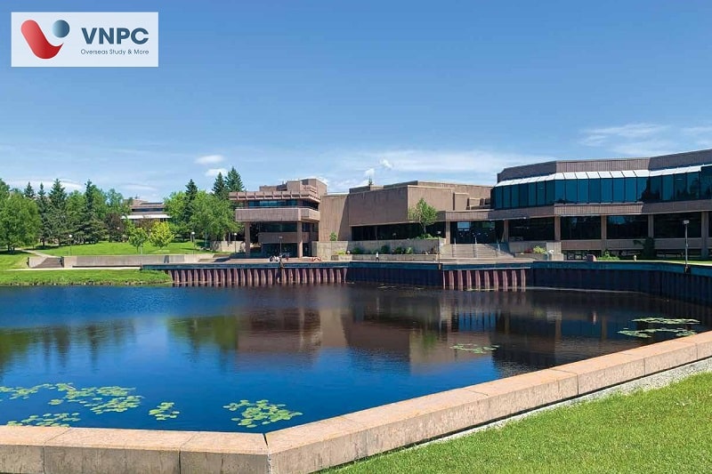 Lakehead University 